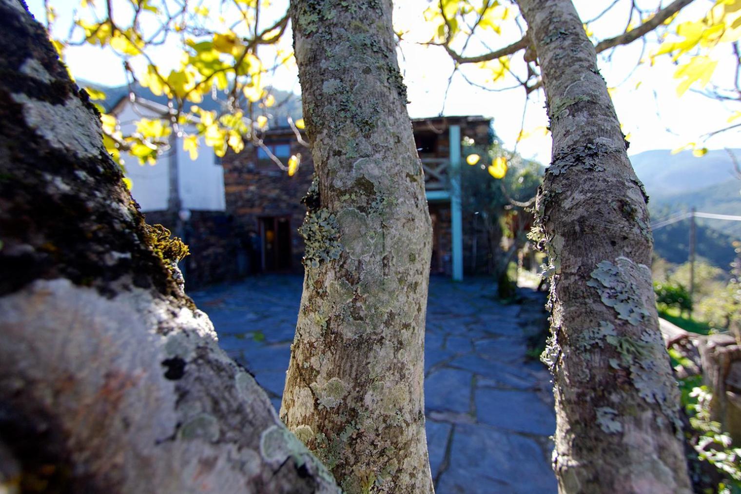 Casa Da Figueira - Rio Paiva Villa Arouca Exterior foto